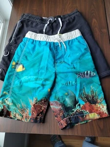 2 Boys Bathing Suits  Size Youth XL & XXL Pre-Owned - Picture 1 of 6