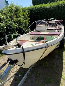 Konsolenboot Motorboot Mit 15 Ps Motor E Start Trailer - Bild 1 von 21
