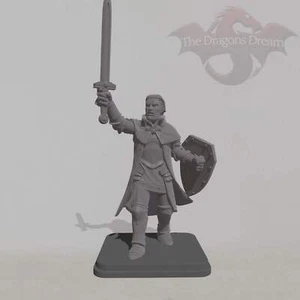 Caballero Masculino - Heroquest, Dungeons and Dragons, 5e, Pathfinder - Miniatura - Imagen 1 de 1