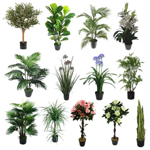 Artificial Realistic Plants Large 3ft 90cm Lots of Designs - Picture 1 of 34