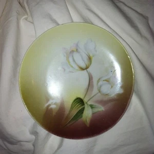 Lovely Tulip Hand Decorated R S Germany Green White Plate Pretty - Picture 1 of 4