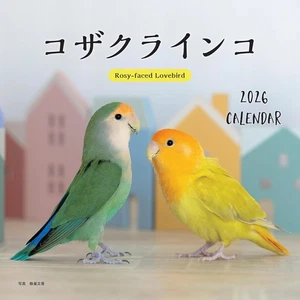 2026 Calendar Peach-faced Lovebird Birds Japanese Wall Hanging Monthly - Picture 1 of 10