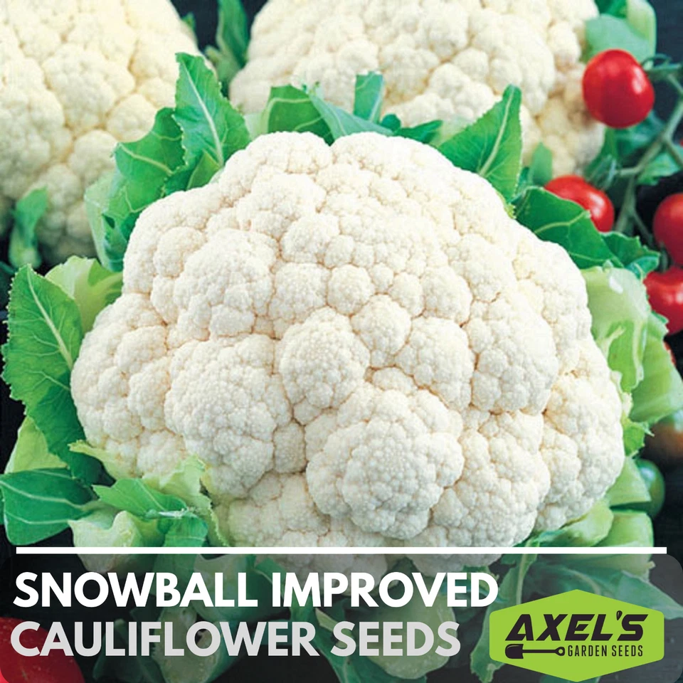 Semillas de reliquia de coliflor mejoradas de bola de nieve sin transgénicos Foto 1 de 4