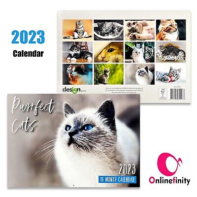 2023 Wall Calendar Perfect Cats 16 Month A4 Size Planner Christmas New Year Gift • 4.95$