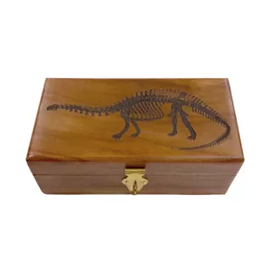 Caja de madera de acacia grabada dinosaurio Brontosaurus de 6-1/4" - Imagen 1 de 2
