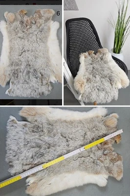 Premium XXL piel de conejo piel de conejo raza de conejo Foto 1 de 4