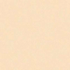 Rainbow Classic Felt 9"X12" Antique White - Picture 1 of 1