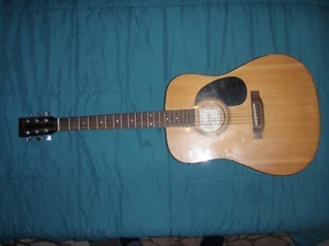 41 inch length Dreadnought Encore Electric Electro Acoustic Guitar Model EA255 - Picture 1 of 8
