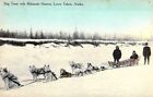 Early Chromo-Litho Color,Dog Team,Malamut Harness, Yukon,Alaska, Ak,Old Postcard
