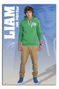 88633 One Direction Liam Large Maxi Wall Decor Wall Print Poster - Picture 1 of 7