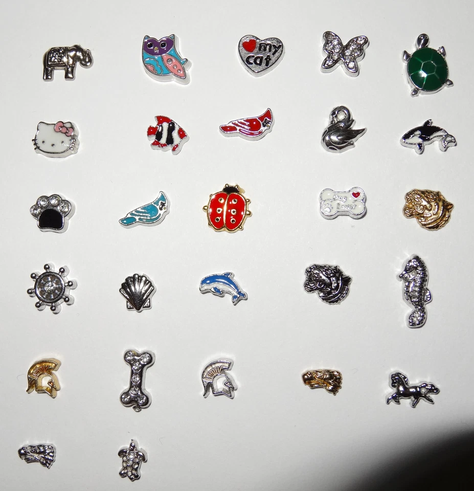 Dijes flotantes para perros pájaros mascotas animales se adaptan a la mayoría de los medallones vivos  Foto 1 de 1