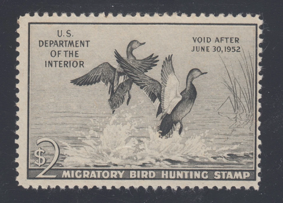 US Sc RW18 MLH. 1951 $2 black Gadwall ducks, Duck Hunting Permit Stamp - Image 1 of 1
