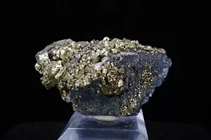 Pyrite & Galena / Miniera di Boltsburn, Inghilterra / Esemplare minerale - Foto 1 di 4
