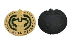 2PCS US ARMY "THIS WE'LL DEFEND" DRILL SERGEANT INSIGNIA THREE CLUTCH PIN - Picture 1 of 3