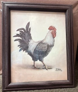 Vintage Hahn Druck (Marilyn Rea) im Holzrahmen Druck Größe 8 x 10. - Bild 1 von 13