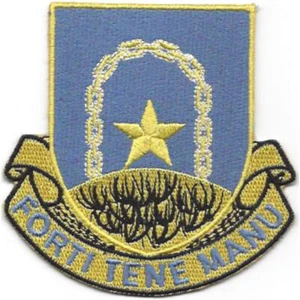 920th Air Base Security Battalion Patch - Picture 1 of 6