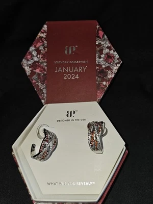 Pendientes Bomb Party The Arabella Enero Cumpleaños 2024 Granate Circonita cúbica Aros RBP6837 Foto 1 de 4