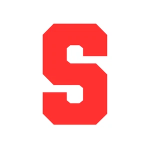 Matte Varsity Letter S Vinyl Sticker Decal Waterproof l High quality TUMBLER - Picture 1 of 14