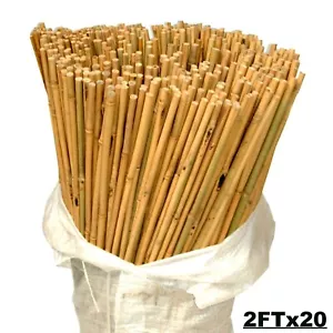 2FTx20 Bamboo Wooden Canes Wall Garden Fence Plant Support Stakes Sticks Poles - Picture 1 of 6