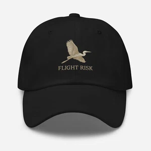 Flight Risk Embroidered Hat Minimalist Bird Dad Hat Trini Skies  - Picture 1 of 7