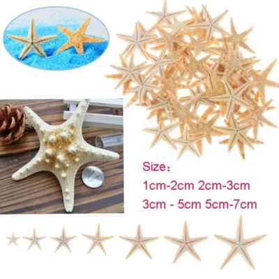 5/25/50 pcs Flat Dried Starfish DIY Crafts Mini Sea Shells Ornaments Nautical De - Image 1 of 4