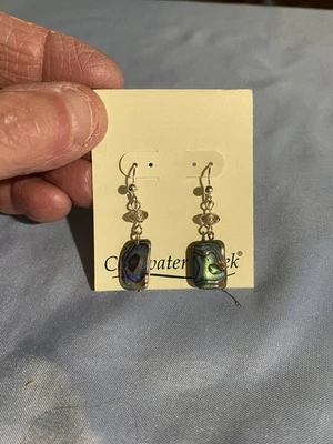 Coldwater Creek Treasure Drop Coloridas Piedra y Cuentas Pendientes Perforados Cuelgan NUEVO Foto 1 de 4