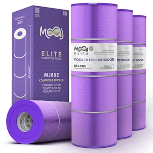 Repuesto filtro piscina MOAJ Elite para CCP320, R173573, PCC80, FC-1976, C7470 - Imagen 1 de 7