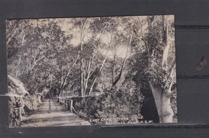 NEW SOUTH WALES, NATIONAL PARK, LADY CARRINGTON'S DRIVE, c1910 ppc., unused. - Imagen 1 de 1
