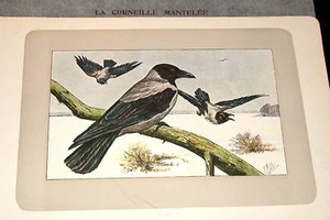 CORNEILLE MANTEL MAHLER AQUARELL MANUFRANCE 1907 - Bild 1 von 1