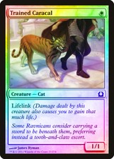 Trained Caracal FOIL Return to Ravnica PLD White Common MAGIC CARD ABUGames