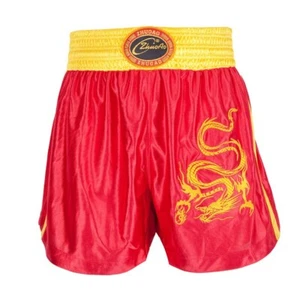 Dragon Boxing MMA Martial Art Muay Thai Shorts Trunks Boxer Kickboxing Fightwear - Picture 1 of 9