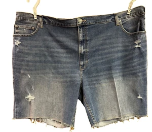 Herren gebraucht True Nation / sportliche Passform / Größe 54 / blau Jeansshorts - Bild 1 von 4