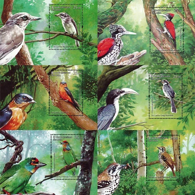 Sri Lanka Stamps Endemic Birds of Sri Lanka Mini Sheet Set 2021 mnh collection - Image 1 of 4