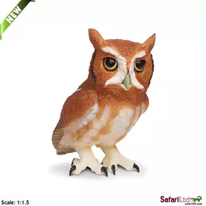 Eastern Screech Owl von Safari Ltd/Neu 2013/Spielzeug/263429/Unglaubliche Kreaturen - Bild 1 von 1