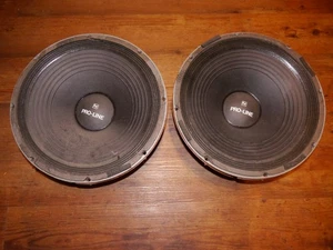 Speaker EV 15 Proline   2 Stück. - Bild 1 von 7