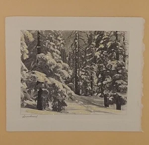 Vintage Christmas Card Front, 'Snowbound' Evergreen Trees With Glitter - No Back - Picture 1 of 2