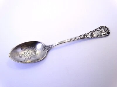 Cuchara de té de recuerdo de plata de ley de raíz amarga Hamilton Mont. ML Vintage 5,8 pulgadas Foto 1 de 4