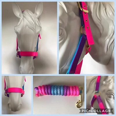 REDUCED Headcollar and Lead Rope, FULL, Aqua/ Multicoloured, FREE UK Postage - Image 1 of 4