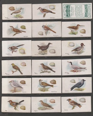CIGARETTE CARDS Lambert & Butler 1906 Birds & Eggs - complete set - Image 1 of 3