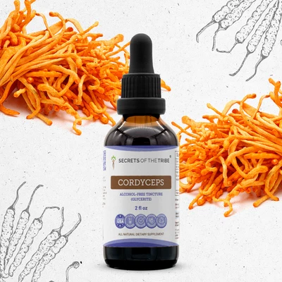 Secretos de la Tribu Cordyceps Tintura SIN ALCOHOL Foto 1 de 4