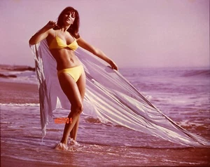 RAQUEL WELCH Old Restrike Photo SEXY Bikini "FATHOM" from  Color Transparency #3 - Picture 1 of 2