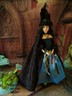 Witch Doll Salem Mary Sibley TV  Inspired Repaint Barbie Black NOOB
