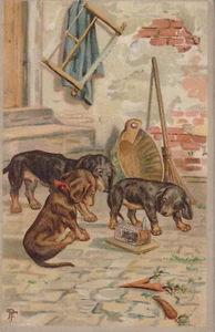 Vintage Dackel Dachshund Teckel PF. Mouse Humor Old Dog PC. 1906 - Picture 1 of 1