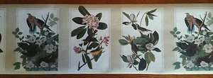 Singing Birds Floral Wallpaper Border by Brewster Wallcovering - Picture 1 of 7