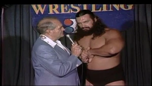 BEST OF HOUSTON WRESTLING 25 DVD SET *PAUL BOESCH *BRUISER BRODY*HARLEY RACE - Picture 1 of 5