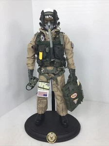 1/6 US NAVY F-14 VF-14 "TOP GUN" MODERN FIGHTER PILOT + STAND DID DRAGON BBI RC - Picture 1 of 24