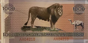 BEAUTIFUL COLLECTOR's ITEM - 1,000 SHILLINGS 2006 - BANK OF SOMALILAND (P-CS1a) - Picture 1 of 2