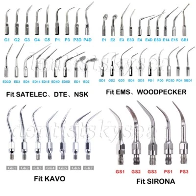 50 Types Dental Ultrasonic Scaler Tips Scaling Endo Perio G P E Fit for EMS NSK - Image 1 of 2