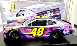 Jimmie Johnson #48 Ally Finale 2020 colore cromato 1/24 Nascar - Foto 1 di 8