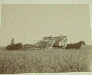 Circa 1910 Antique Photo Horses Workers Driving Combine Thresher Team In Motion - Picture 1 of 5